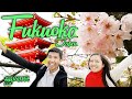 Fukuoka Trip 2019 - A Glimpse of Fukuoka Japan With Tight Budget in FOUR MINUTES!