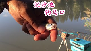 气温12度还能用嫩玉米钓鳊鱼吗？看实战！