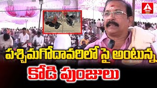 పశ్చిమగోదావరిలో సై అంటున్న కోడి పుంజులు..| సిద్ధమైన బరులు | West Godavari Sankranthi Celebrations