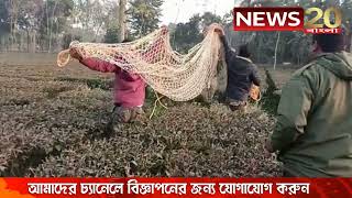 চিতাবাঘ-হাতির পর লোকালয়ে এবার বুনো শুকরের আতঙ্ক, ঘটনাস্থলে বন দফতরের কর্মীরা