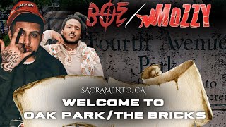 Welcome to Oak Park & "The Bricks" Sacramento, CA With BOE/Mozzy