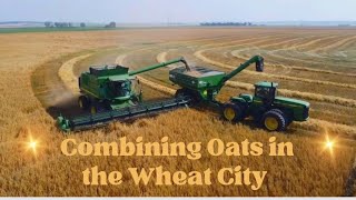 Combining oats in the Wheat City - Brandon, Manitoba HD