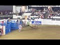 bull riding accident at black rodeo