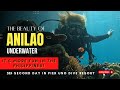 PIER UNO dive resort | Anilao underwater | What to do in Anilao?