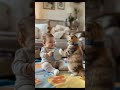 adorable duo baby u0026 cat dance together 🐱💃 babyandcat dancingduo fyp foryoupage viralmoments