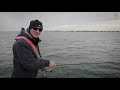 predator fishing with softlures westin fishing