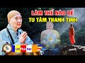 Làm thế nào để TU TÂM THANH TỊNH? Pháp Sư Tịnh Không | Phật Pháp Nhiệm Màu