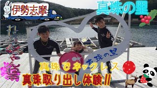 真珠の里　アコヤ貝　真珠取り出し体験　三重県　旅行　親子旅行　伊勢志摩　子供体験　工作