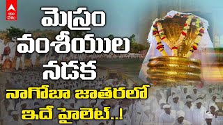 Nagoba Jathara|పవిత్రమైన గోదావరి నీళ్ల కోసం.. మెస్రం వంశీయుల నడక ప్రారంభం | DNN | ABP Desam