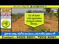 farm land plots for sale ఎర్రచందనం మొక్కలు red sandalwood plantation ప్రకాశం జిల్లా