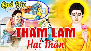 Luật Nhân Quả Không Bỏ Sót 1 Ai, Quả Báo THAM LAM...HẠI THÂN - Chuyện Nhân Quả Phật Giáo | Báo Ứng