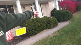 $1100 shrub removal quote