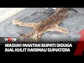 Eks Bupati Bener Meriah, Aceh Terlibat Penjualan Kulit Harimau Sumatera | Kabar Hari Ini tvOne