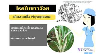 Principles of Plant Pathology -โรคพืชเเละเชื้อสาเหตุ