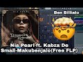 Nia Pearl ft Kabza De Small-Makubenjalo(Free FLP)