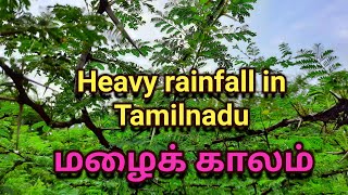 Heavy rainfall in Tamilnadu | rainfall in kanyakumari district | winter season