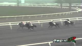 フレッシュチャレンジ２歳新馬　2013年6月13日　門別競馬　競馬タウン