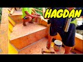 P113 - MAY HAGDAN NA SA UNAHAN NG ATING BANGKA - EP35