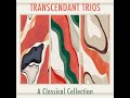 trio for violin cello and piano in a major r. 9 i. allegro