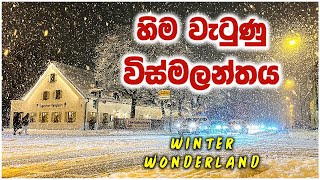 හිම වැටුණු ජර්මනියේ අපේ ගෙදර | Winter Wonderland in Germany | Winter in Germany Vlog | LifeInWinter