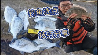 钓鱼选点经验分享 [钓鱼不看潮 都是瞎白忙] 怎样看潮水 Sydney Fishing - Tide