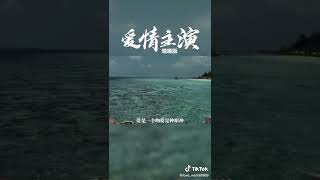 #爱情主演#歌曲#音乐