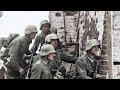 battle of stalingrad german resistance after the surrender.