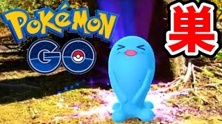 ポケモンGO金銀！日比谷公園のモンスター！ソーナンスの巣【Pokemon GO】さとちん