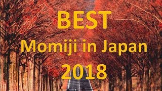 Best Place to See Momiji 2018