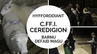 Hyfforddiant Barnu Defaid Magu