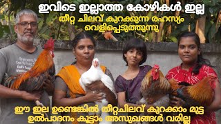 ഇതുപോലെ തീറ്റ കൊടുത്താൽ മുട്ട ഉൽപാദനം വർധിക്കും രോഗങ്ങൾ വരില്ല Nadan kozhi valarthal
