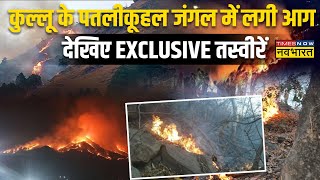 Kullu Forest Fire | कुल्लू के पतलीकूहल वन क्षेत्र में लगी भीषण, करोड़ों की वनसंपदा खाक ! | Fire News