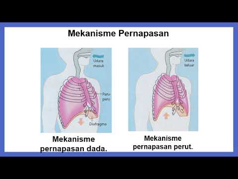 KEBUTUHAN OKSIGENASI - YouTube