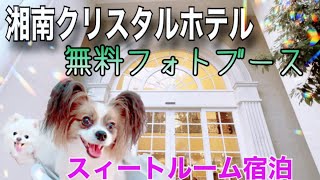 犬旅【湘南クリスタルホテル】無料の『フォトブースフロア』が最高だった♪