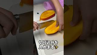 さなさんがマンゴーを切って食べるだけの動画