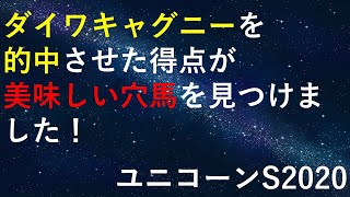 【回収率194%】ユニコーンステークス2020　データから期待値の高い馬を狙い撃ち予想！【サンライズホープ　キタノオクトパス　オーロラテソーロ】