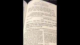 Chazan Nathan Gluck Nusach Ovos Tal Pesach