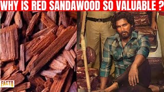 Why is red sandalwood so valuable? |Amazing Facts | 2021 | FactQ | #Shorts