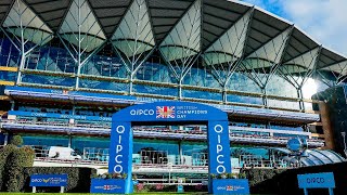 Champion Stakes \u0026 Queen Elizabeth II Preview from the Racing TV studio