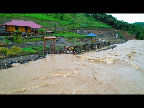 HISTORICAL storms and floods DESTROYED the farm in 4 years Gardening, Cooking, Save the farm SANG VY