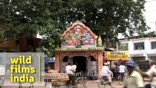 A temple of Goddess Durga in Odisha