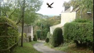 Dragon sighting over the UK'S BORDERS!!