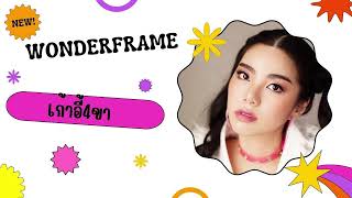 WONDERFRAME   เก้าอี้4ขา