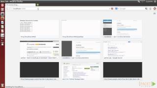 Rapid Flask Tutorial : Getting a Custom City | packtpub.com