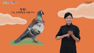 [수어영상도서_명화로 만나는 생태] 5. 조류_비둘기