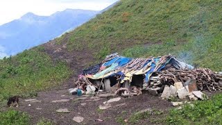 Organic Nepali Himalayan Village Life in Nepal | Rainy Day Most Peaceful And Relaxing Shepherd Life