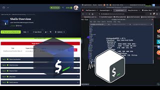 TryHackMe Shells Overview | Understanding Shells in Cyber Security | Cyber Security 101 | SAL1