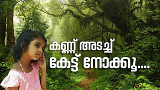 Forest Sounds കണ്ണ് അടച്ചു കേട്ട് നോക്കൂ.....