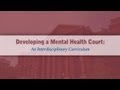 Mental Health Courts: An Introduction to the Curriculum