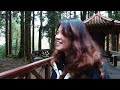 exploring alishan taiwan s greatest national park